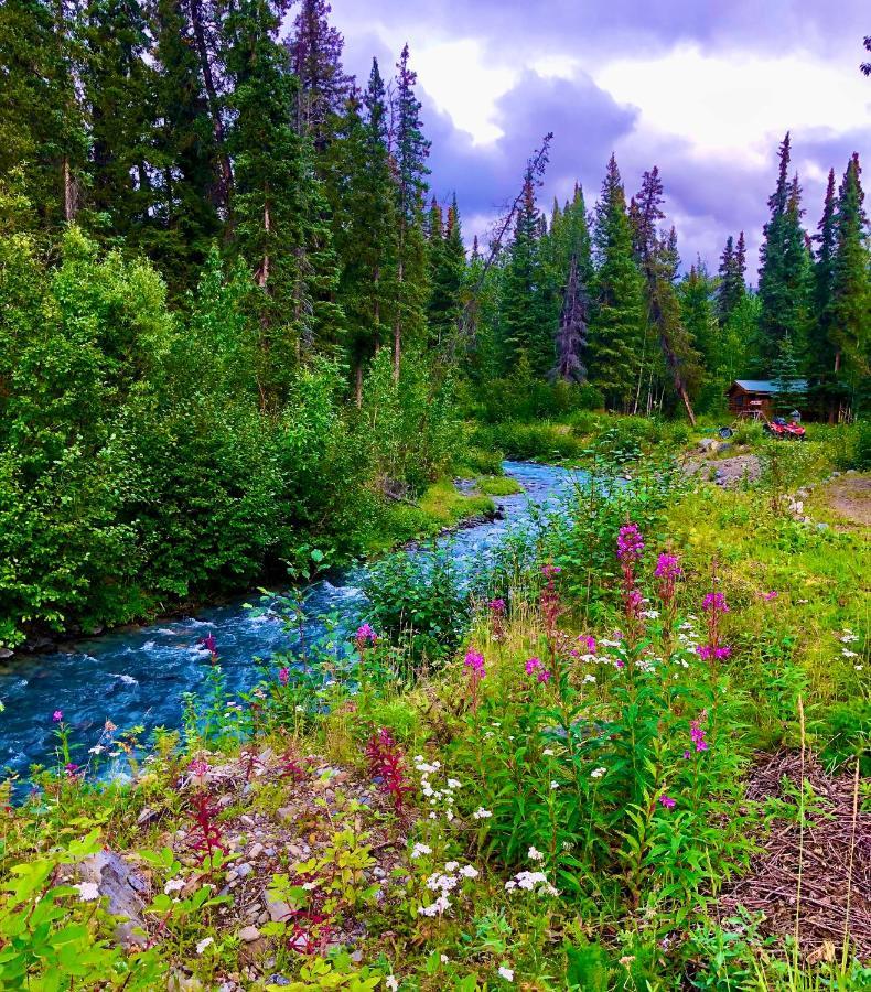 Carlo Creek Cabins Denali Park Exterior photo