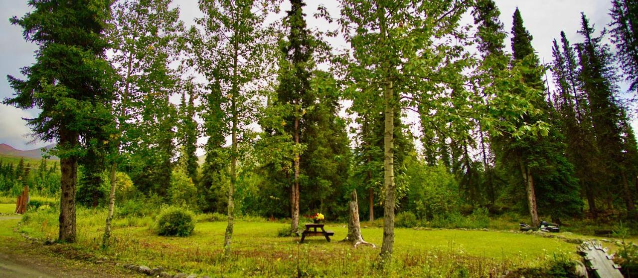 Carlo Creek Cabins Denali Park Exterior photo