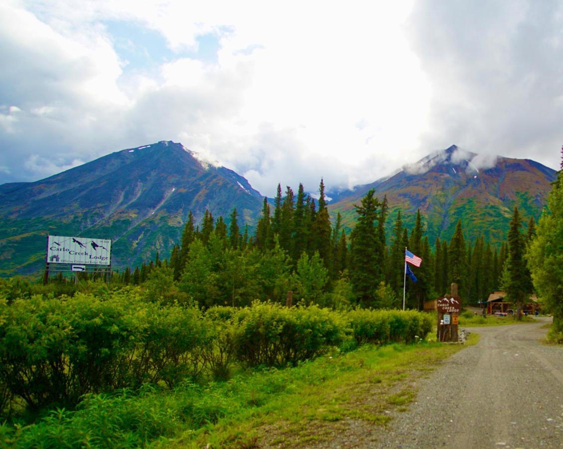 Carlo Creek Cabins Denali Park Exterior photo