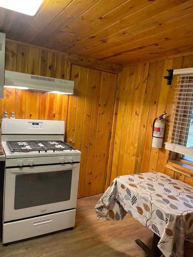 Carlo Creek Cabins Denali Park Exterior photo