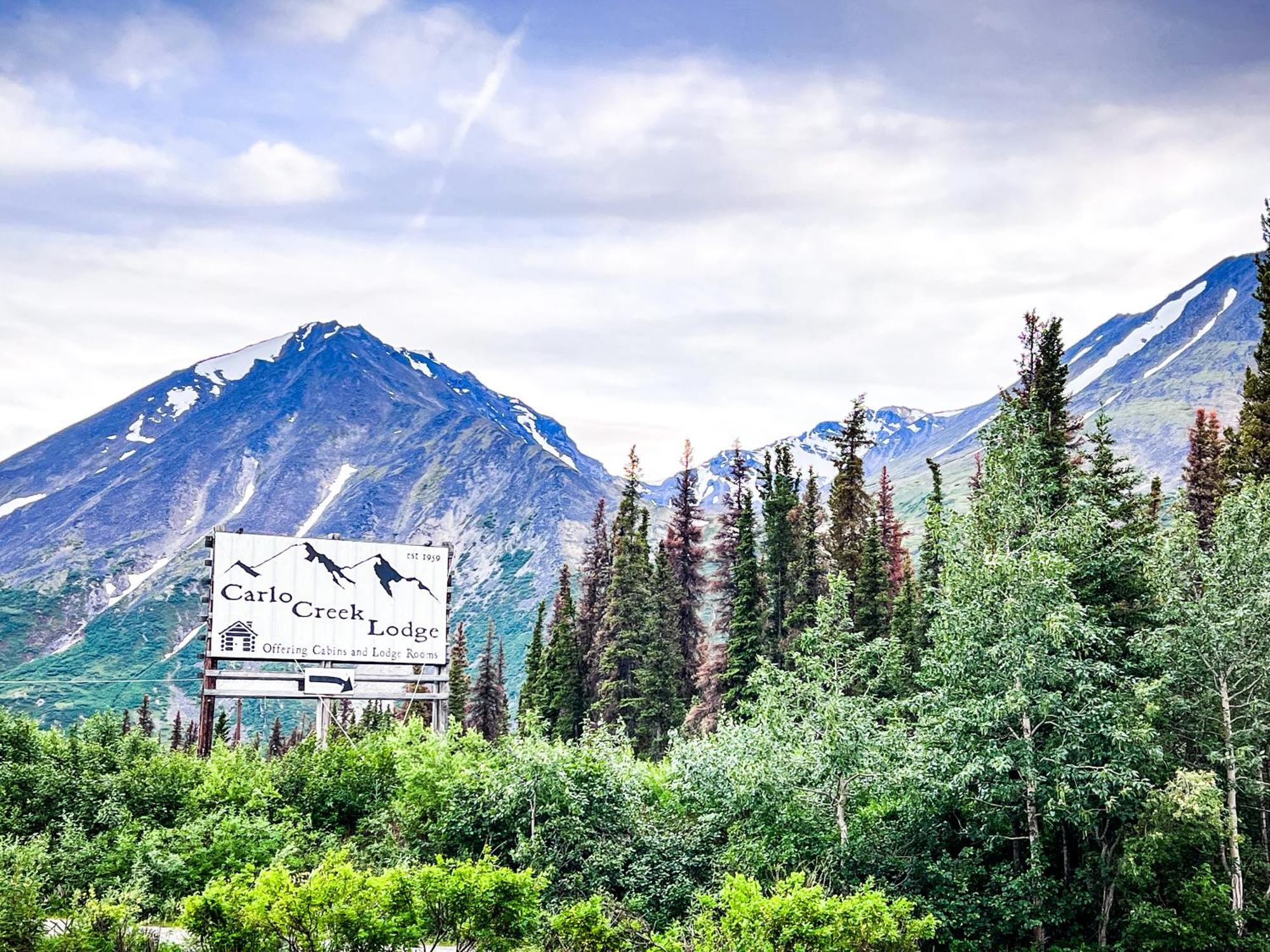 Carlo Creek Cabins Denali Park Exterior photo